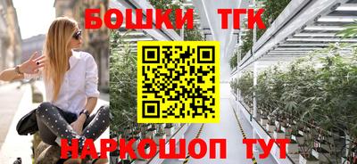 шишки Гай