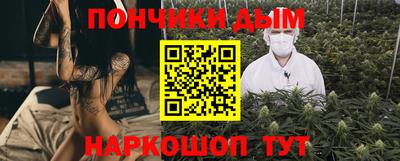 шишки Гай