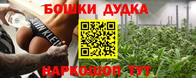 шишки Гай