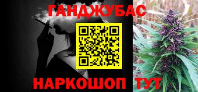 a pvp Гагарин