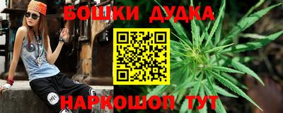 шишки Гай