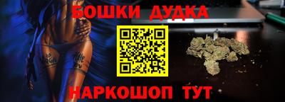 шишки Гай