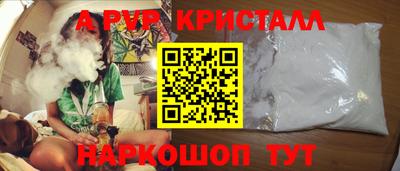 шишки Гай
