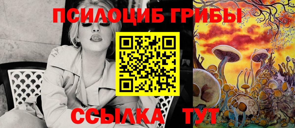 Галлюциногенные грибы Magic Shrooms  купить  цена  Галлюциногенные грибы Psilocybe  Новокуйбышевск  Вход с VPN 